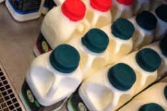 section-milk